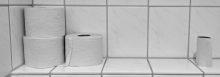 Ako vybrať chemické WC / záchod